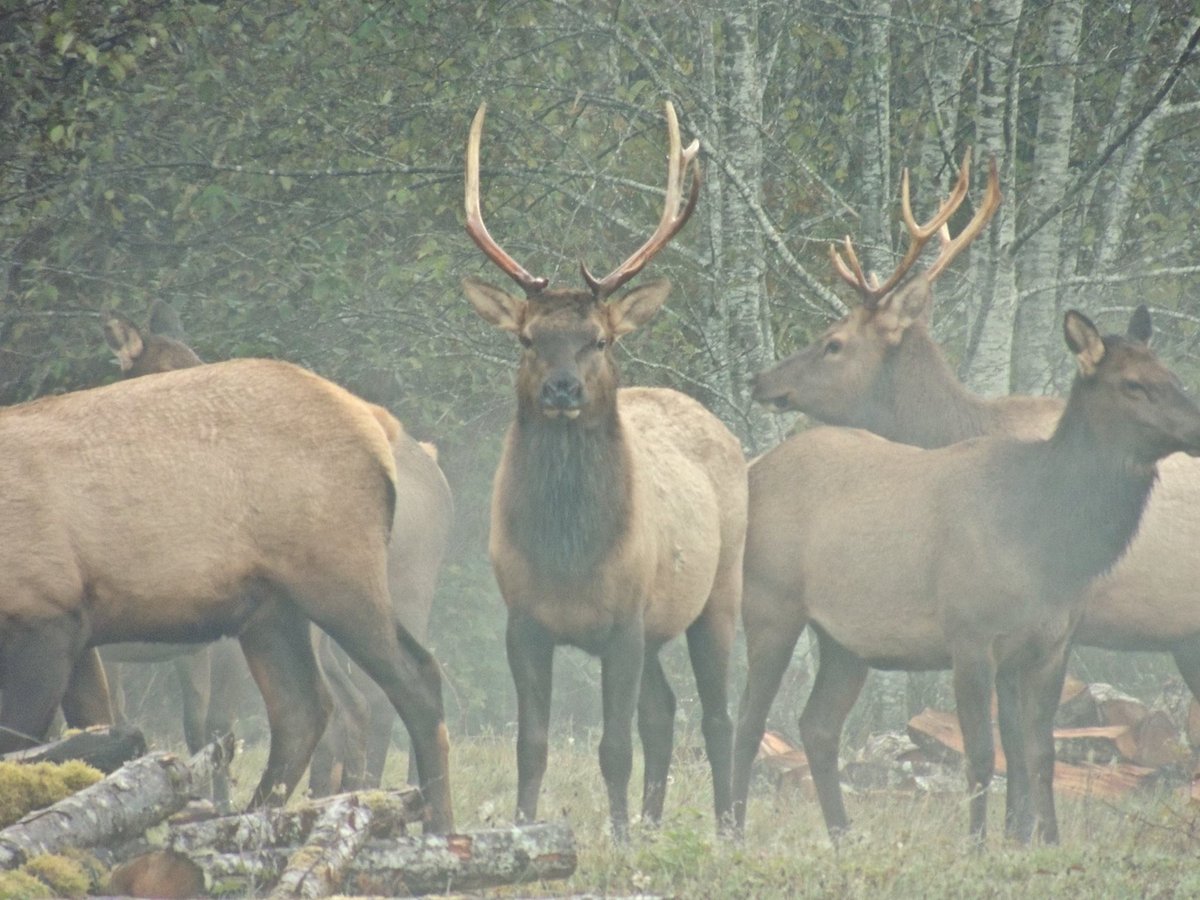 Property caretaker/ campground manager, North Vancouver Island BC