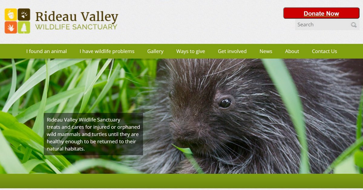 Work with wildlife, animal care and veterinary jobs Work with wildlife, animal care and veterinary jobs