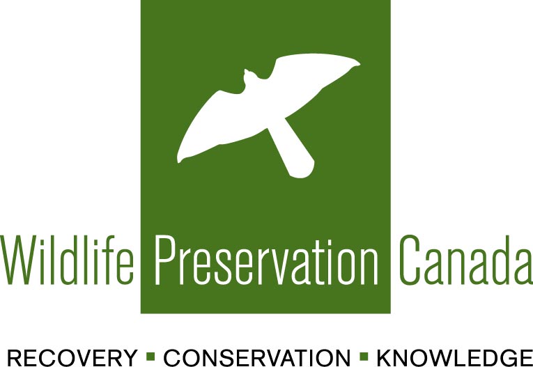 preservation of entire animals Preservation of entire animals types of collection specimens of an entire animal: for reference collections, mammals can be prepared as a variety of specimens. preservation of entire animals Preservation of entire animals types of collection specimens of an entire animal: for reference collections, mammals can be prepared as a variety of specimens.