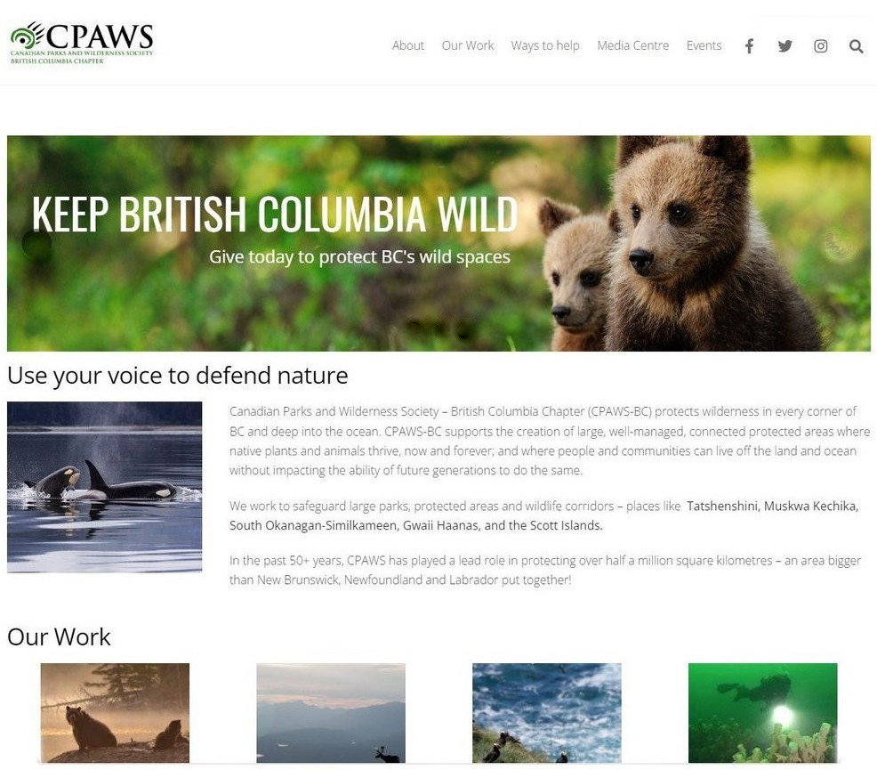 conservation-campaign-manager-jobs-ocean-wildlife-species-at-risk-jobs