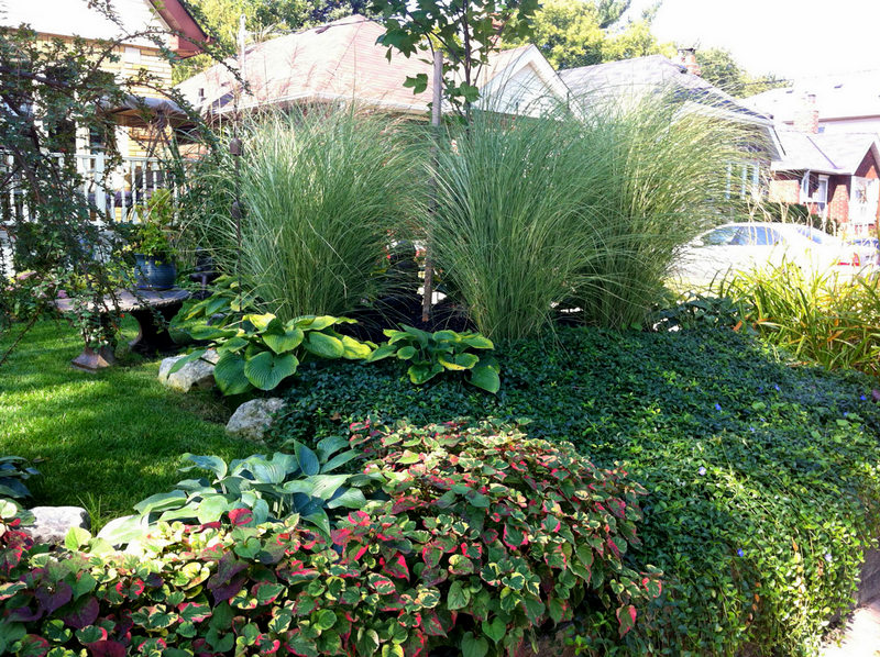Landscape Gardeners Full Time Queen Beez Garden Design Toronto Ontario
