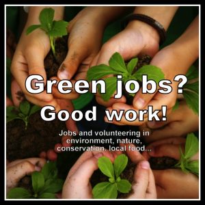 Environmental Jobs