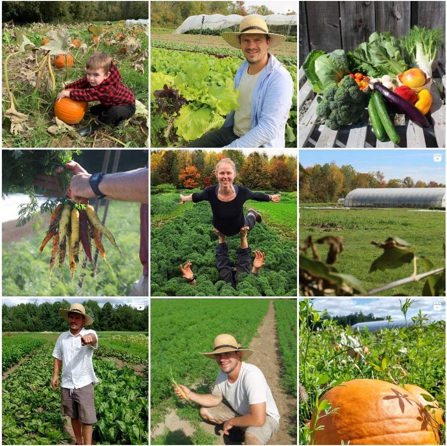 Local food, foodie and foodist jobs, retail, grocery and produce