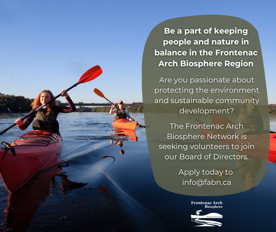 Outdoor education, outdoor adventure and environmental education