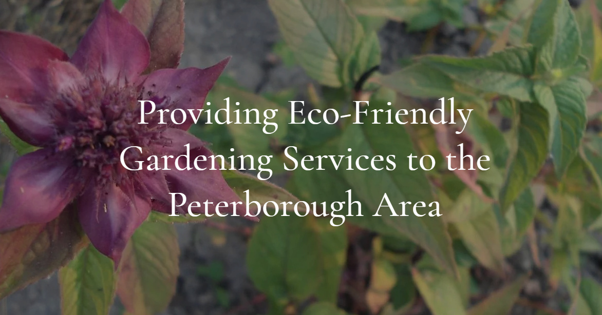 Environmental Jobs, Green Jobs, Conservation Jobs GoodWork.ca