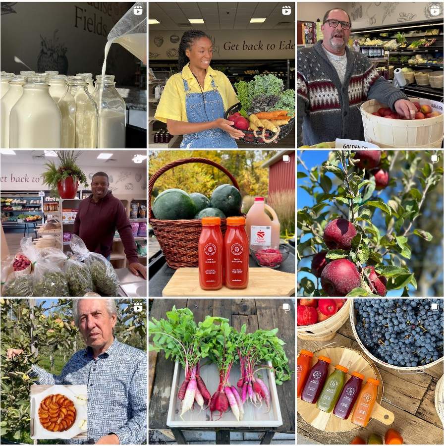 Packaging Team Lead, fulltime & parttime positions, Paradise Fields