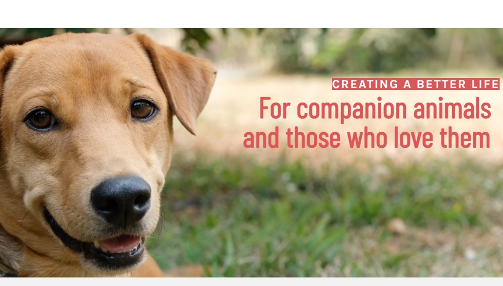 Animal non profit organizations jobs