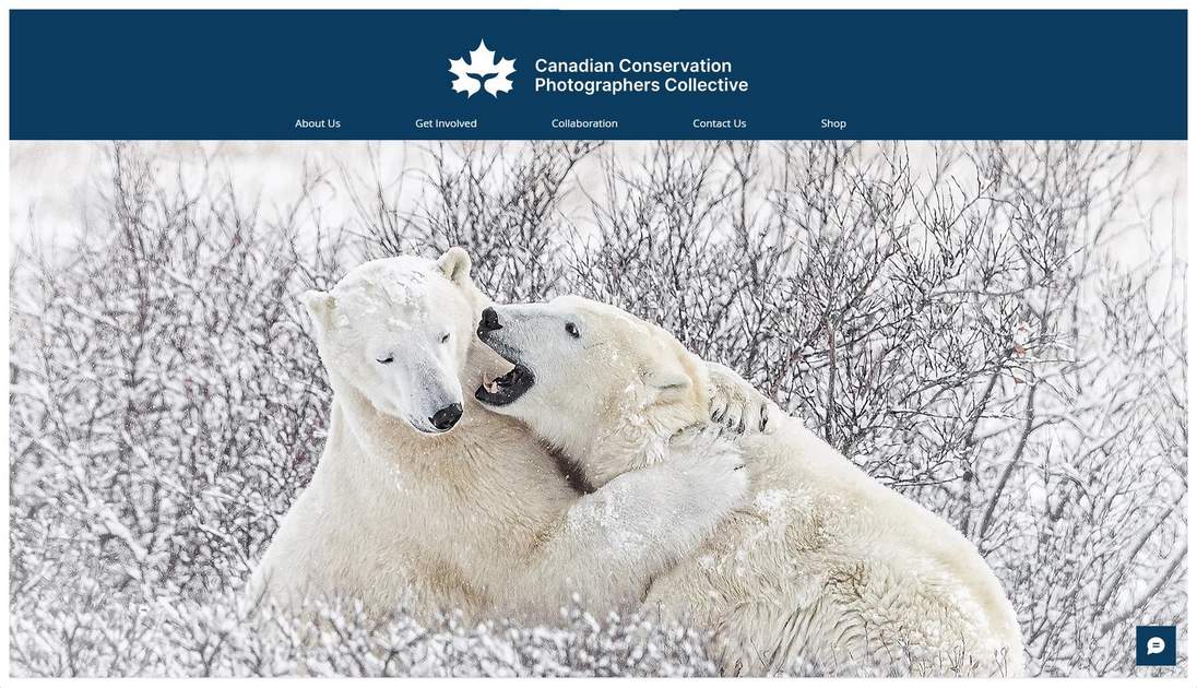 Environmental Jobs, Green Jobs, Conservation Jobs Environmental Jobs, Green Jobs, Conservation Jobs