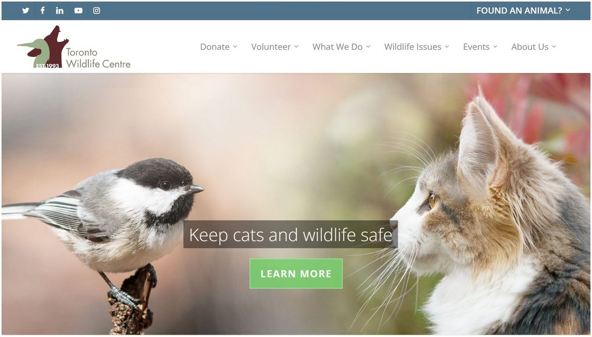 Animal care, birds, animals and wildlife