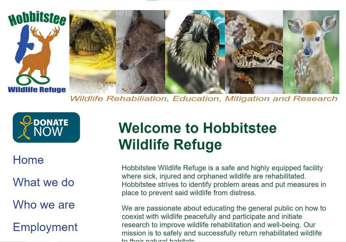 Animal care, Wildlife rescue and rehabilitation, Veterinary summer jobs Animal care, Wildlife rescue and rehabilitation, Veterinary summer jobs