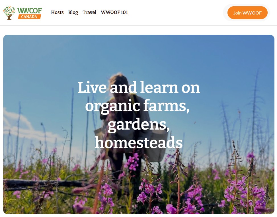 Volunteer outdoors on organic farms